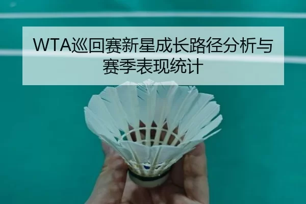 WTA巡回赛新星成长路径分析与赛季表现统计