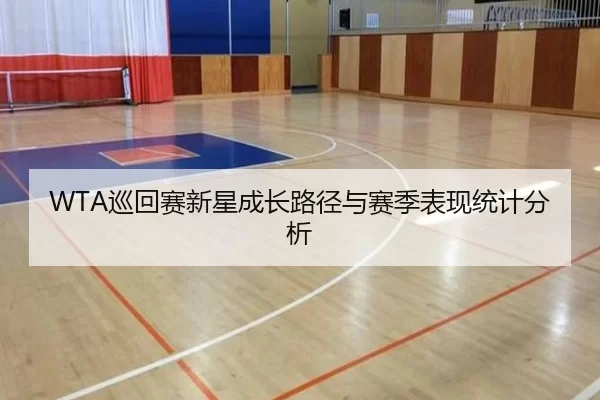 WTA巡回赛新星成长路径与赛季表现统计分析
