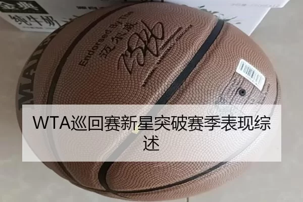 WTA巡回赛新星突破赛季表现综述