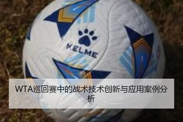 WTA巡回赛中的战术技术创新与应用案例分析