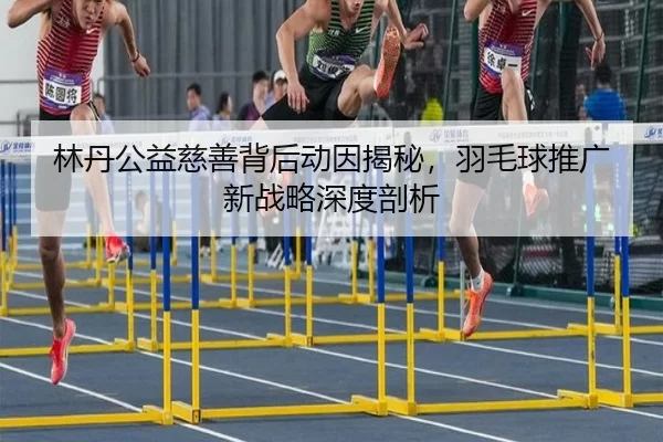 林丹公益慈善背后动因揭秘，羽毛球推广新战略深度剖析