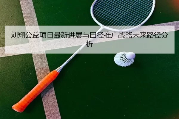 刘翔公益项目最新进展与田径推广战略未来路径分析