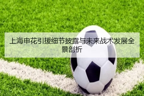 上海申花引援细节披露与未来战术发展全景剖析