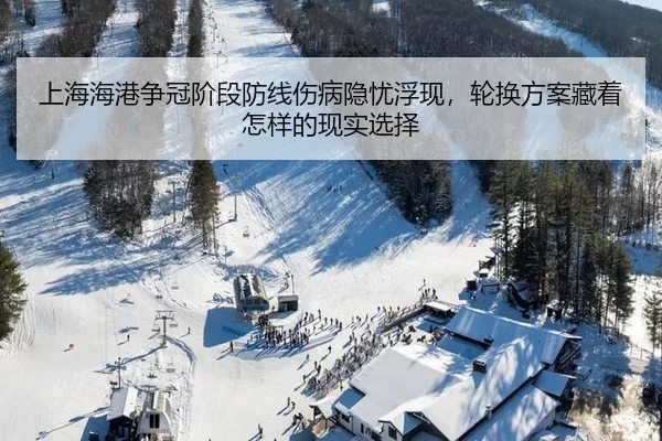 shang-hai-hai-gang-zheng-guan-jie-duan-fang-xian-shang-bing-yin-you-fu-xian-lun-huan-fang-an-cang-zhe-zen-yang-de-xian-3-827.jpg